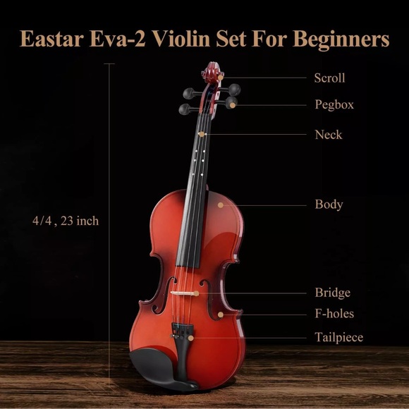 Easter 4/4 violin - Picture 1 of 9